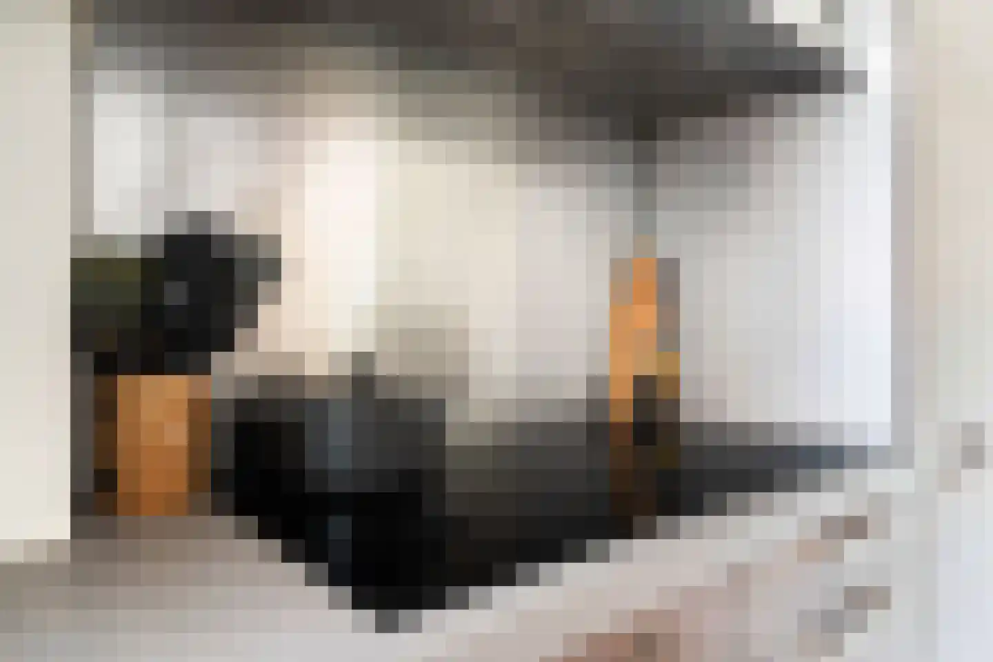 Mendelssohnrode 39 Zoetermeer thumbnail 12