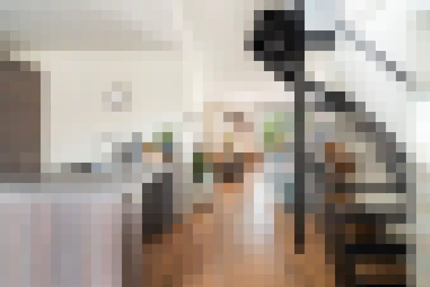 Mendelssohnrode 39 Zoetermeer thumbnail 13