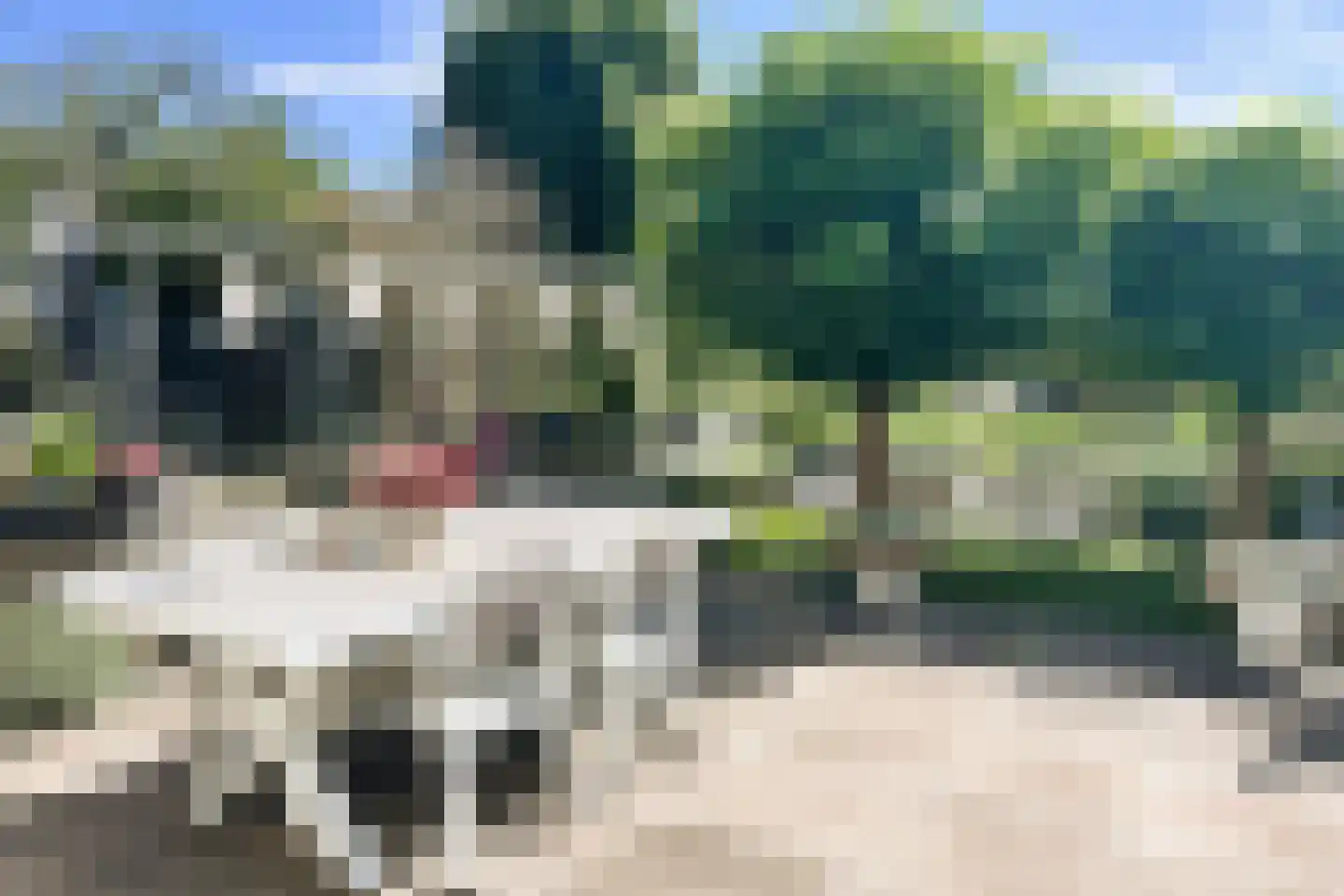 Mendelssohnrode 39 Zoetermeer thumbnail 21