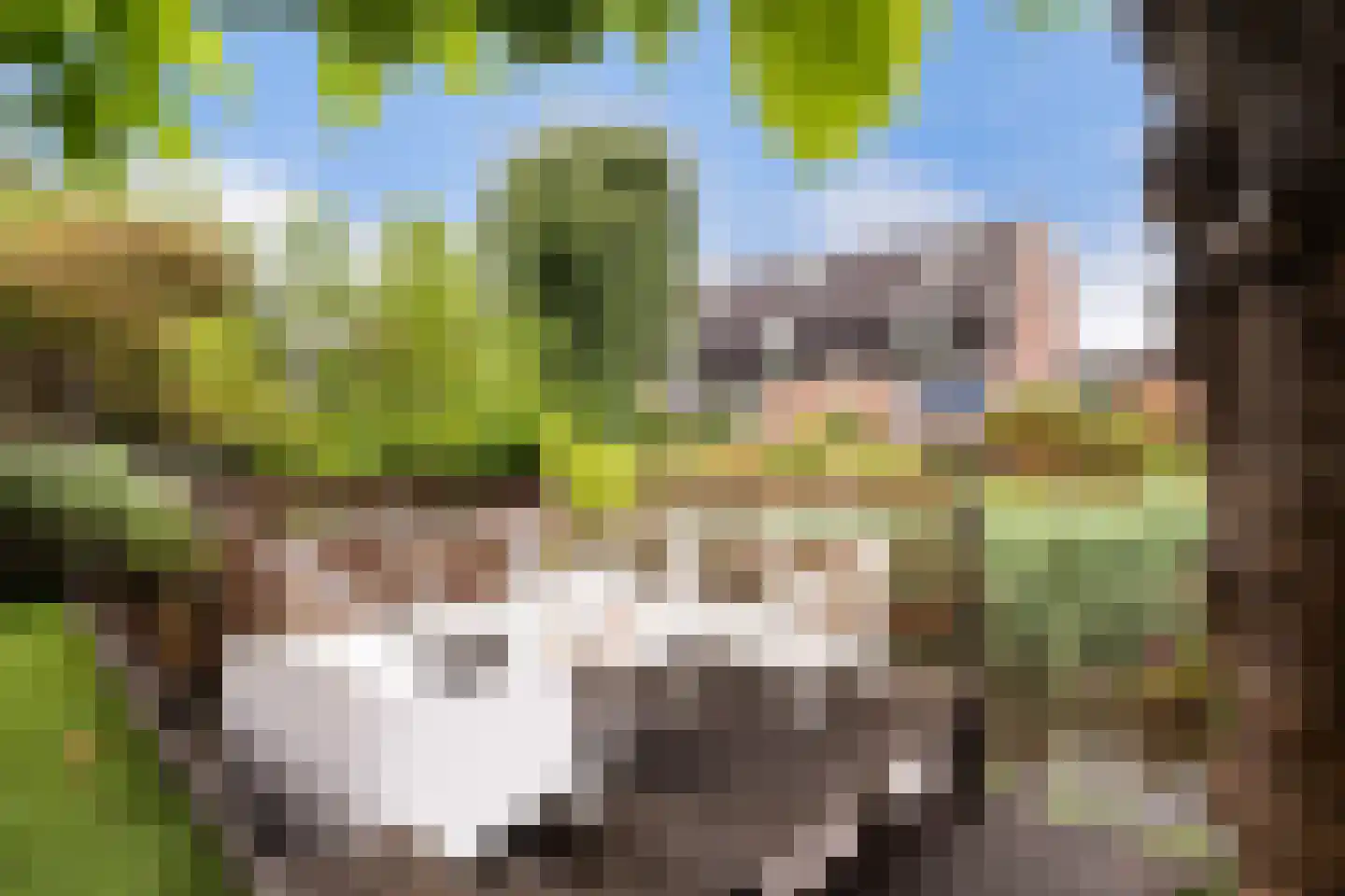 Mendelssohnrode 39 Zoetermeer thumbnail 23