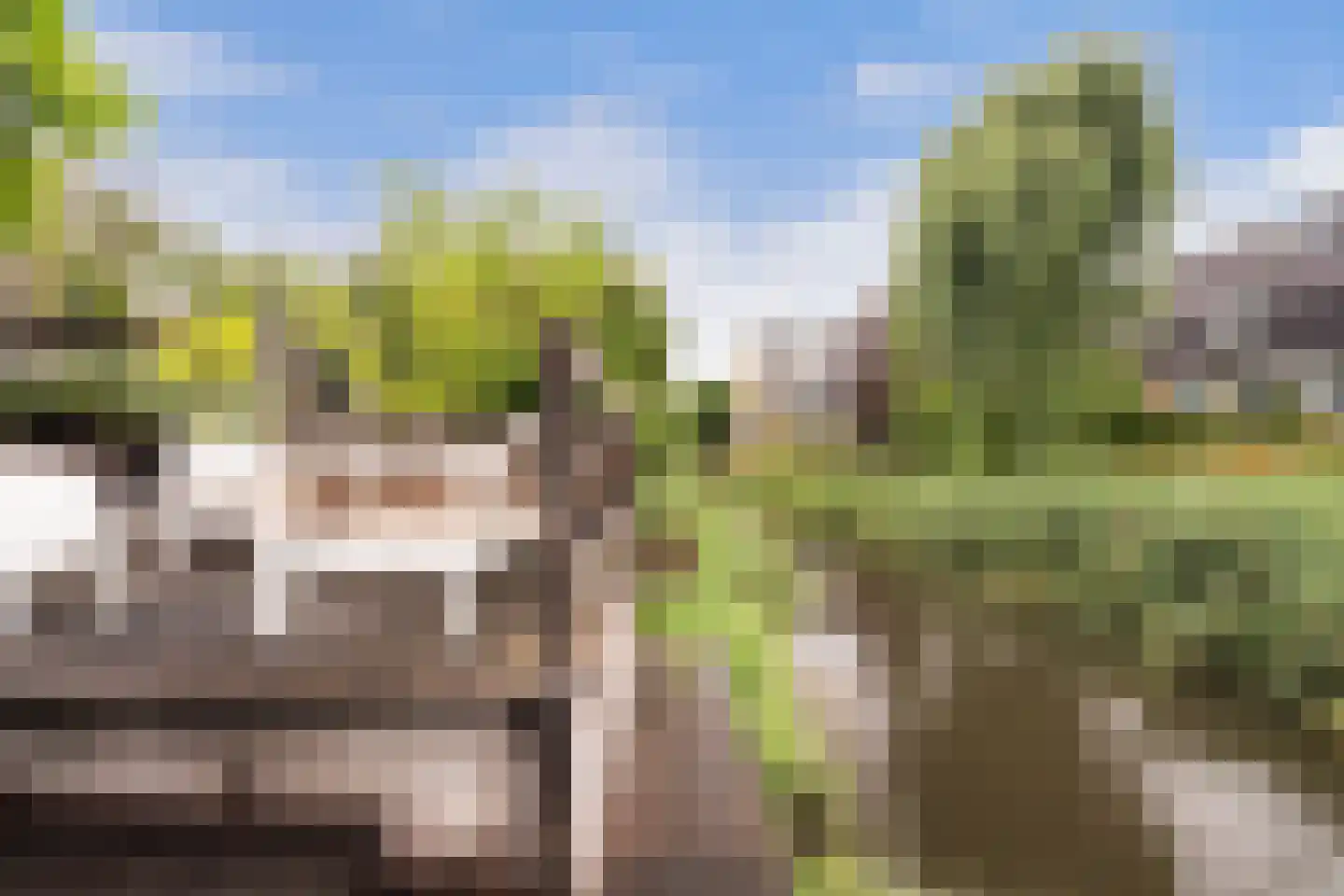 Mendelssohnrode 39 Zoetermeer thumbnail 24