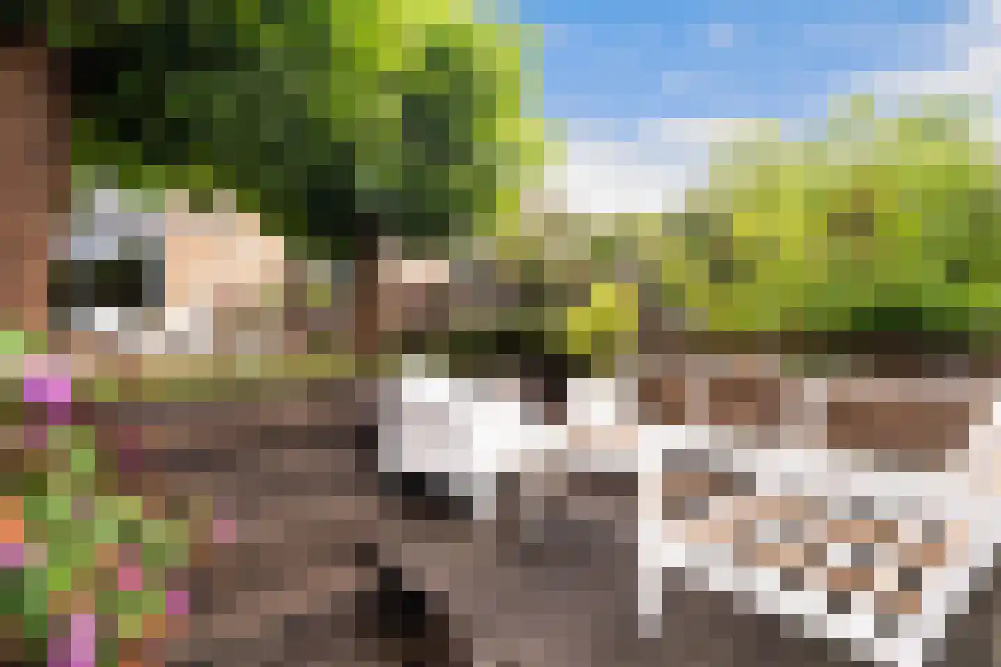 Mendelssohnrode 39 Zoetermeer thumbnail 25