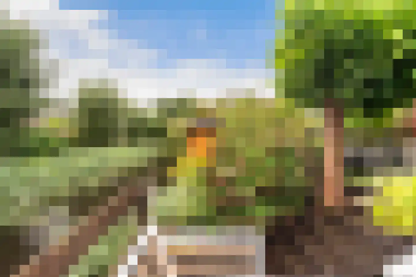 Mendelssohnrode 39 Zoetermeer thumbnail 26