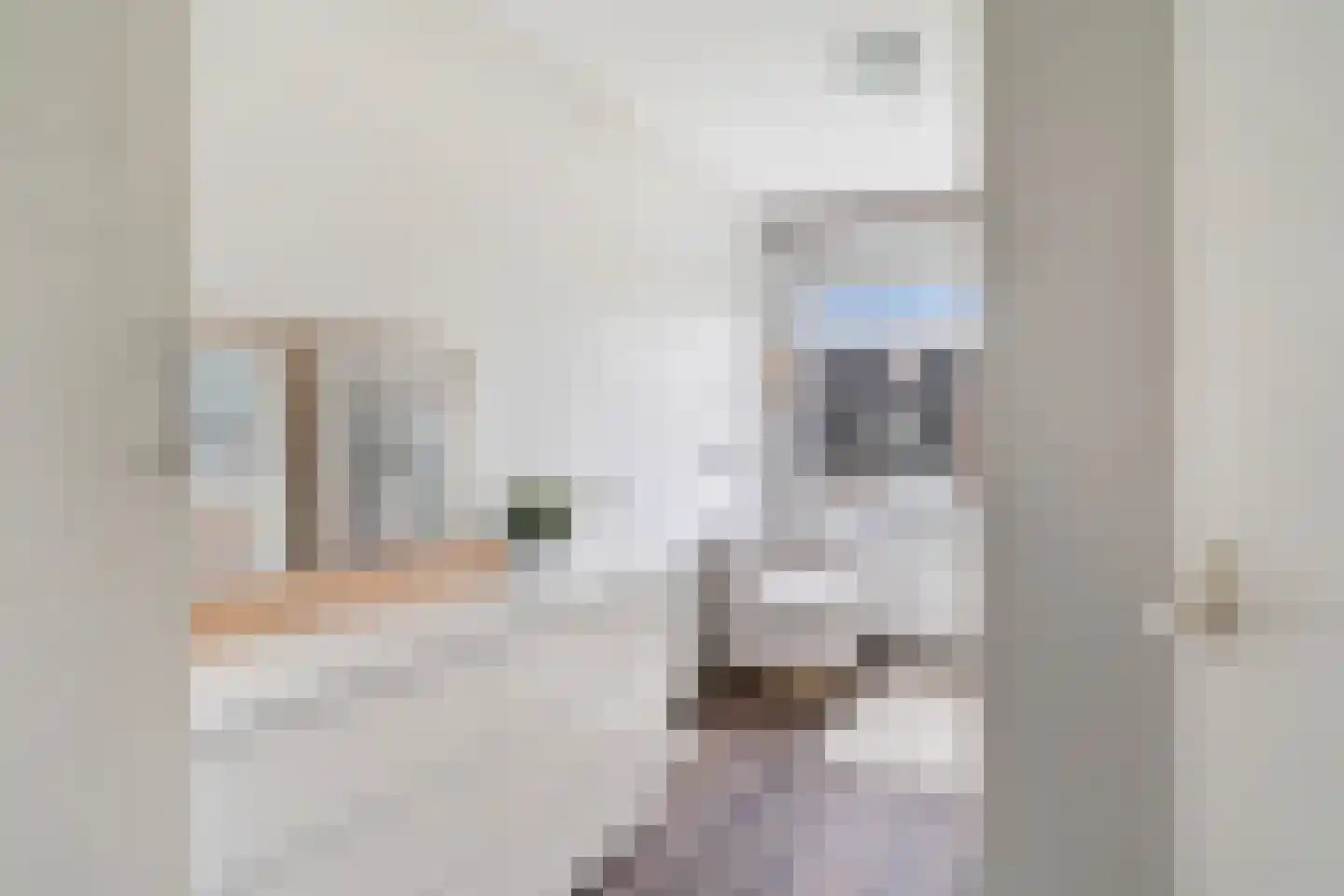 Mendelssohnrode 39 Zoetermeer thumbnail 32