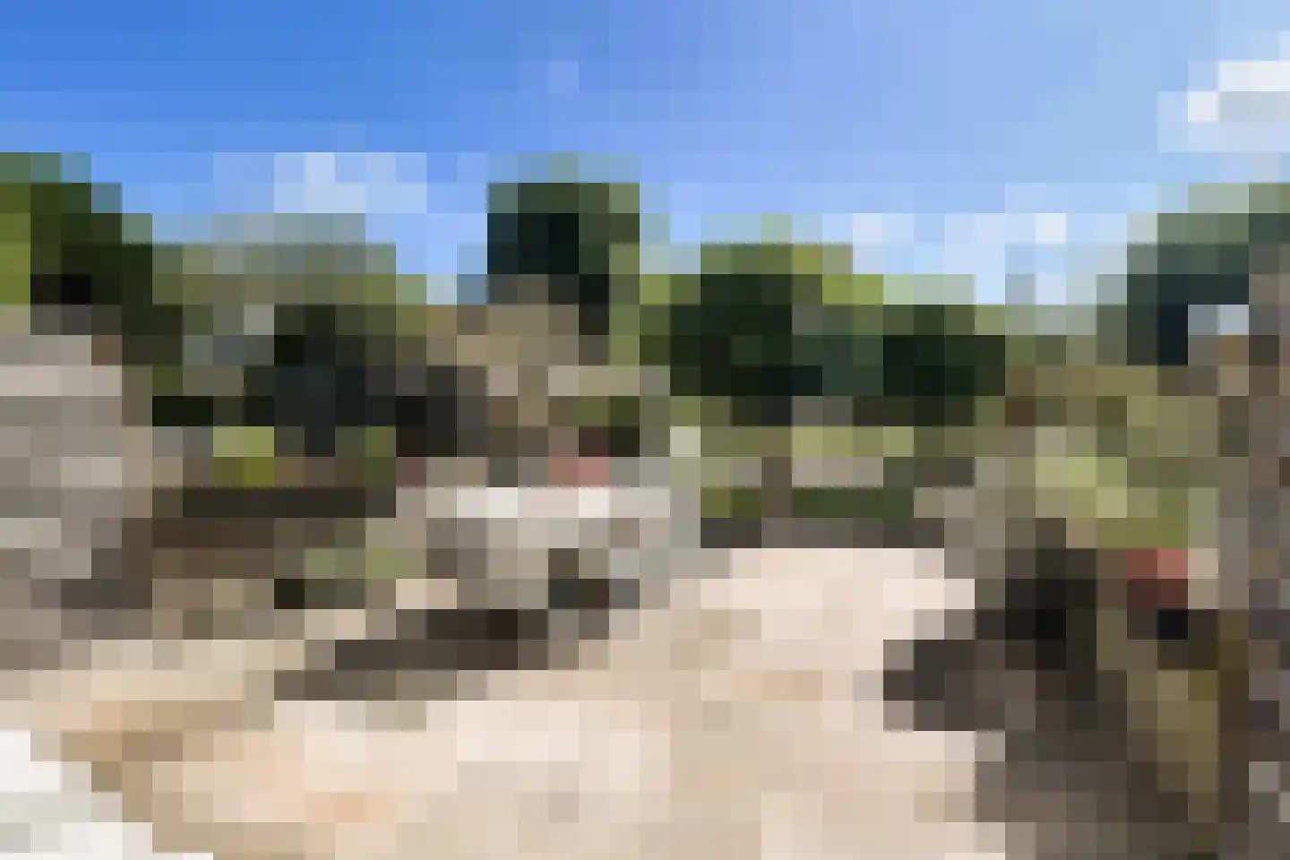 Mendelssohnrode 39 Zoetermeer thumbnail 4