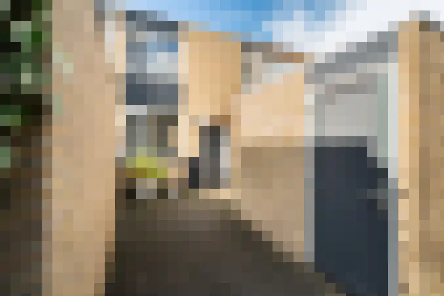 Mendelssohnrode 39 Zoetermeer thumbnail 43
