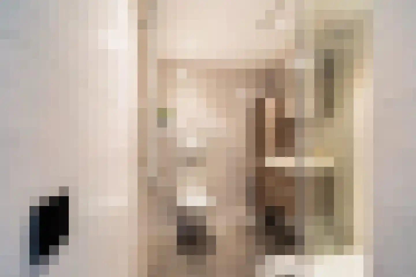Mendelssohnrode 39 Zoetermeer thumbnail 5