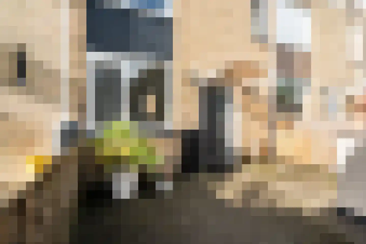 Mendelssohnrode 39 Zoetermeer thumbnail 7