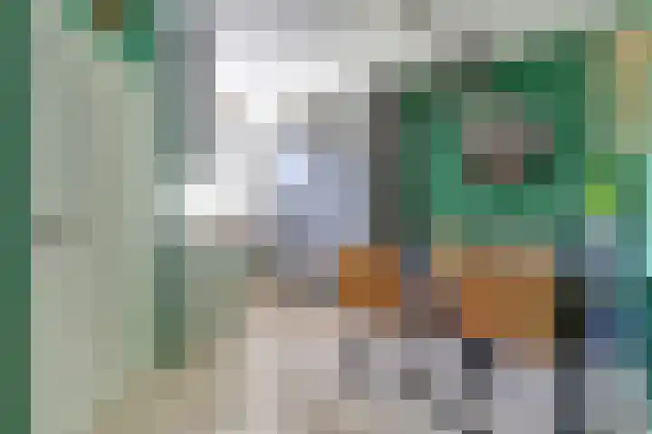 Mendelssohnrode 60 Zoetermeer thumbnail 12