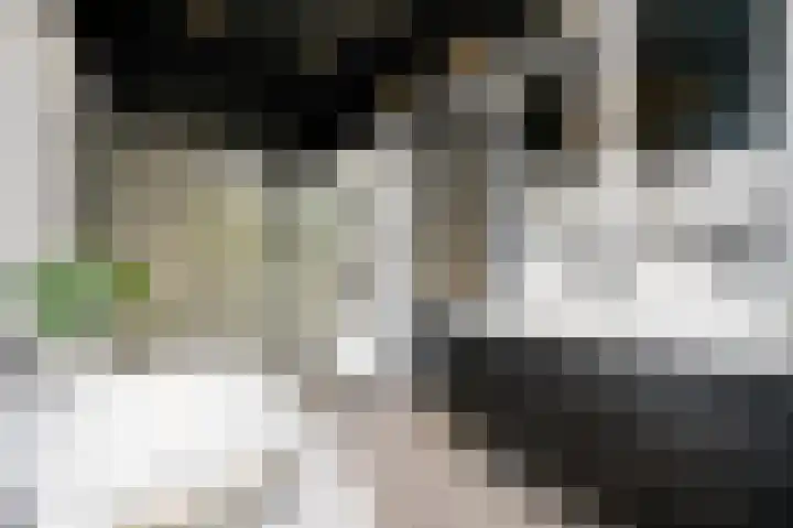 Mendelssohnrode 60 Zoetermeer thumbnail 15