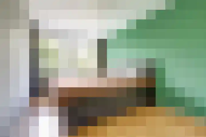 Mendelssohnrode 60 Zoetermeer thumbnail 15