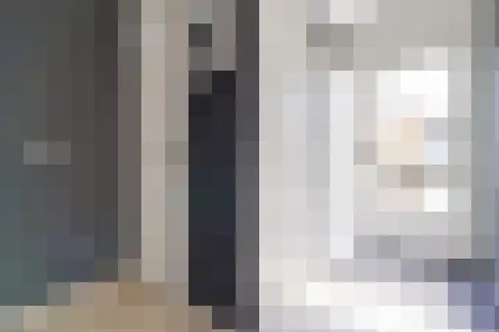 Mendelssohnrode 60 Zoetermeer thumbnail 25