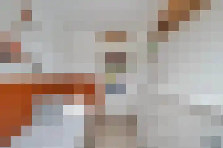 Mendelssohnrode 60 Zoetermeer thumbnail 32