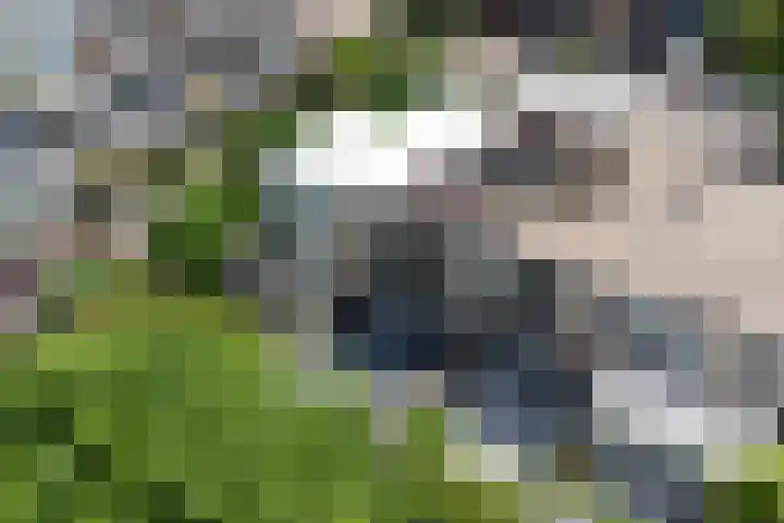 Mendelssohnrode 60 Zoetermeer thumbnail 33