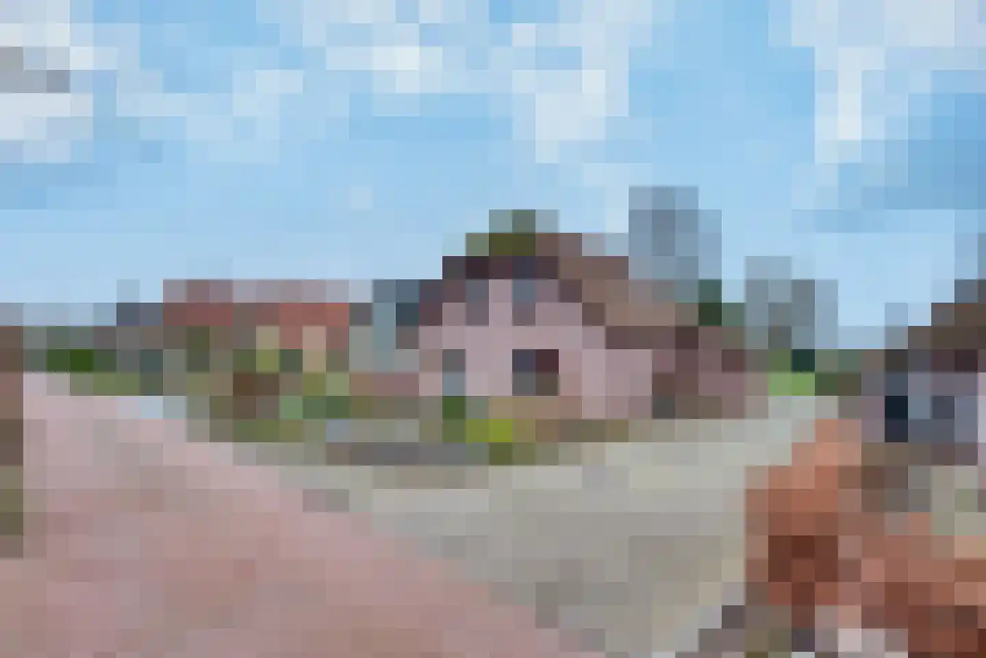 Mendelssohnrode 60 Zoetermeer thumbnail 35