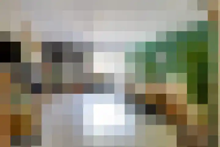 Mendelssohnrode 60 Zoetermeer thumbnail 5