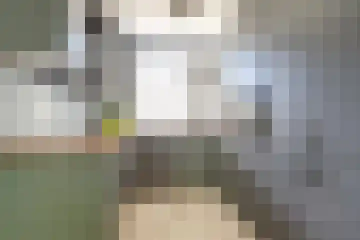 Mendelssohnrode 60 Zoetermeer thumbnail 8