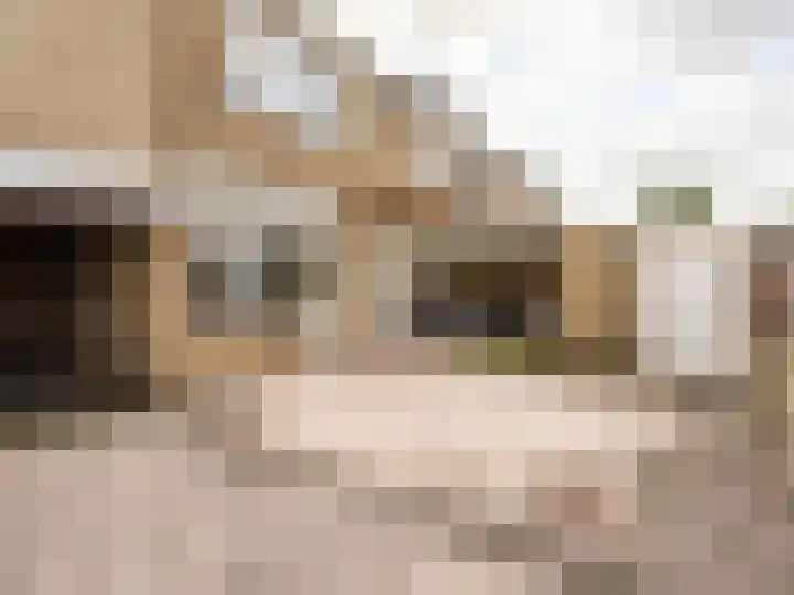 Mendelssohnstraat 10 Zutphen thumbnail 22
