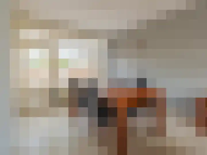 Mendelssohnstraat 10 Zutphen thumbnail 6