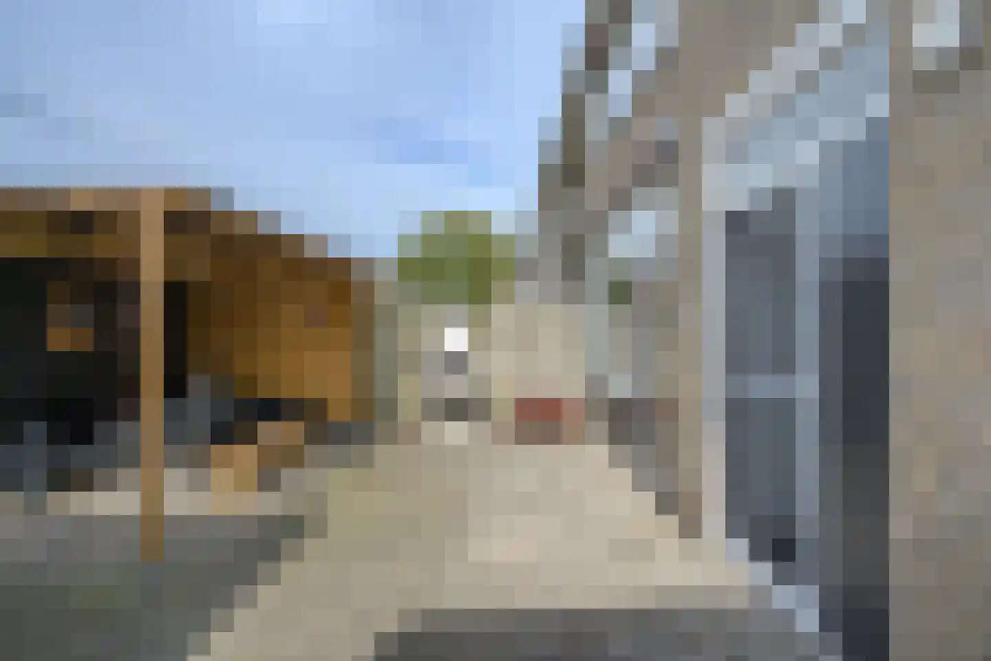 Mendelssohnstraat 16 Zutphen thumbnail 16