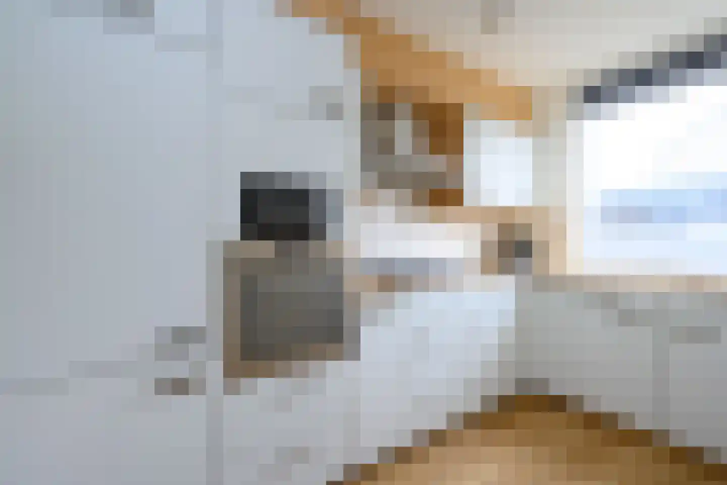 Mendelssohnstraat 16 Zutphen thumbnail 7