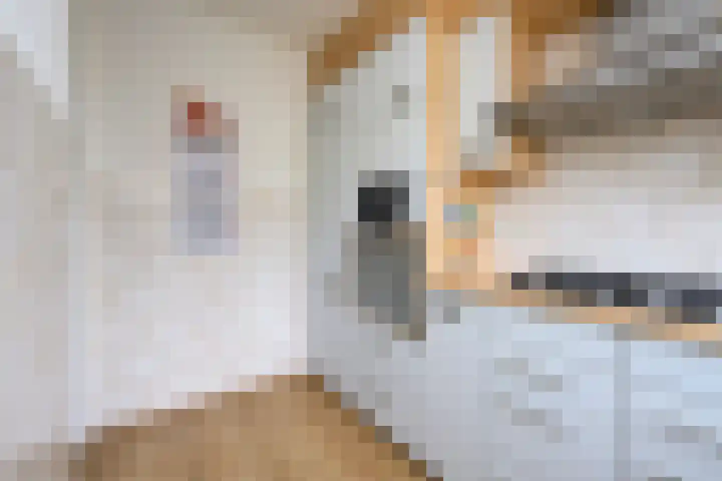 Mendelssohnstraat 16 Zutphen thumbnail 8