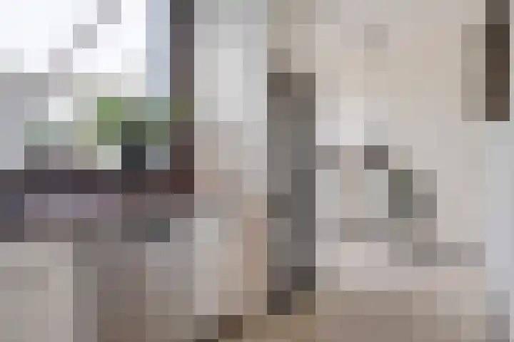 Mendelssohnstraat 19 Numansdorp thumbnail 17