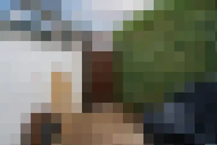 Mendelssohnstraat 19 Numansdorp thumbnail 26