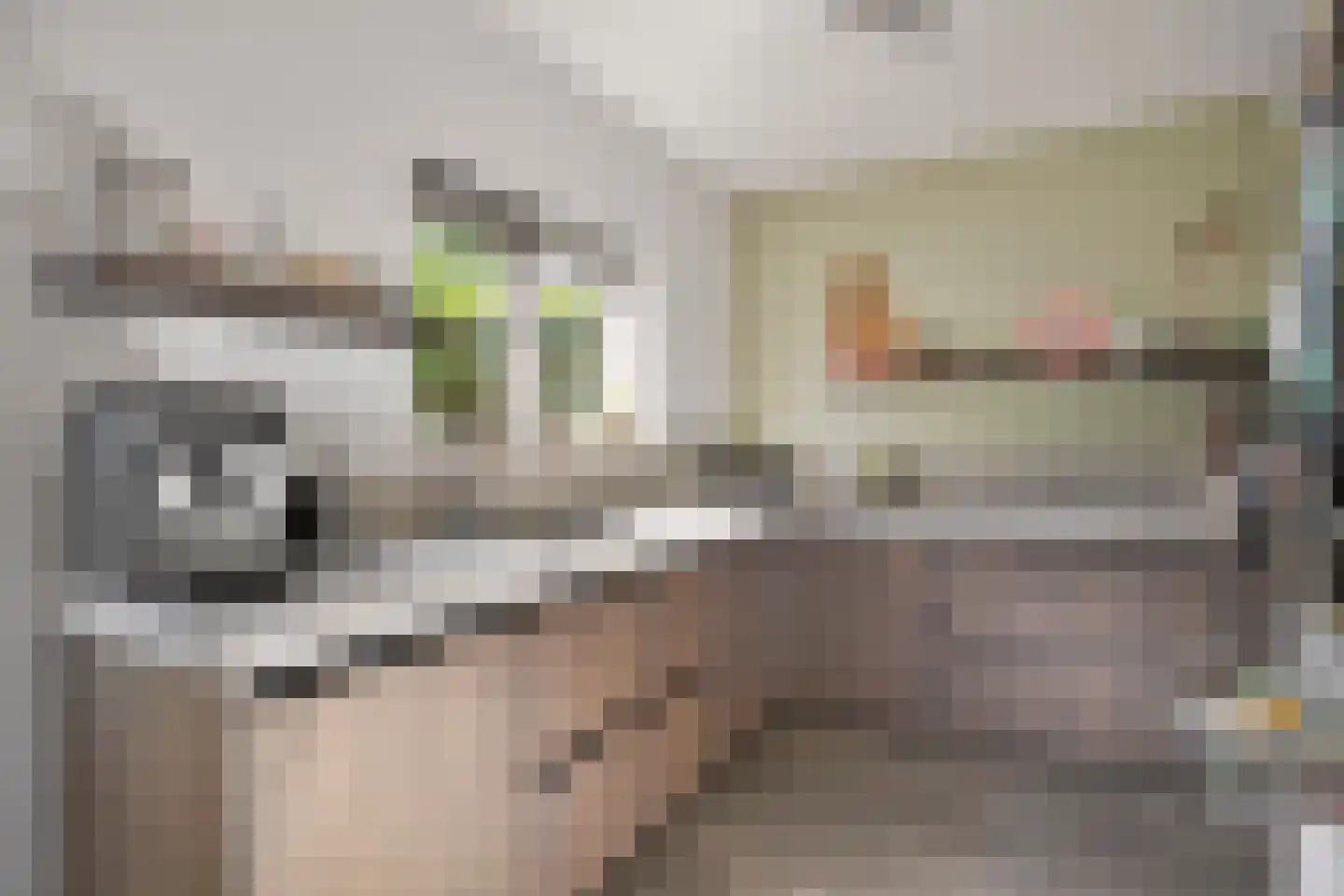 Mendelssohnstraat 22 Drunen thumbnail 12
