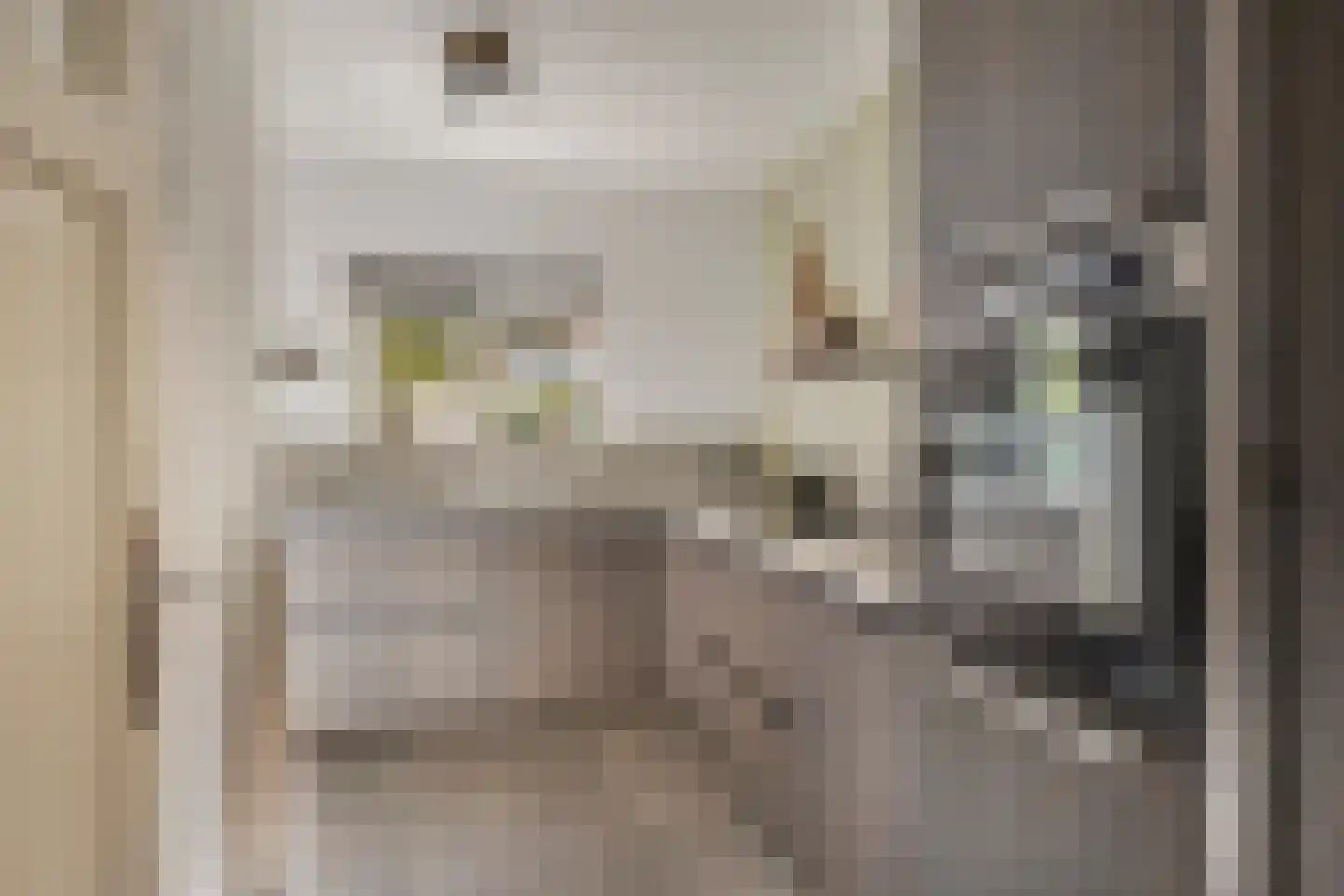 Mendelssohnstraat 22 Drunen thumbnail 13
