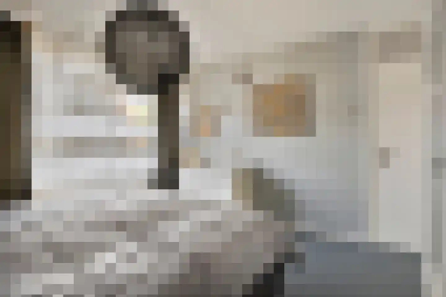 Mendelssohnstraat 22 Drunen thumbnail 17