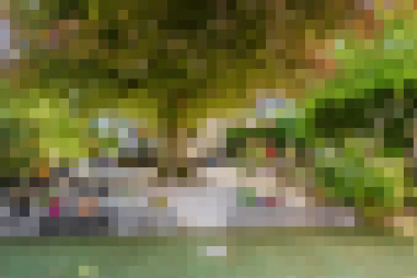 Mendelssohnstraat 22 Drunen thumbnail 26