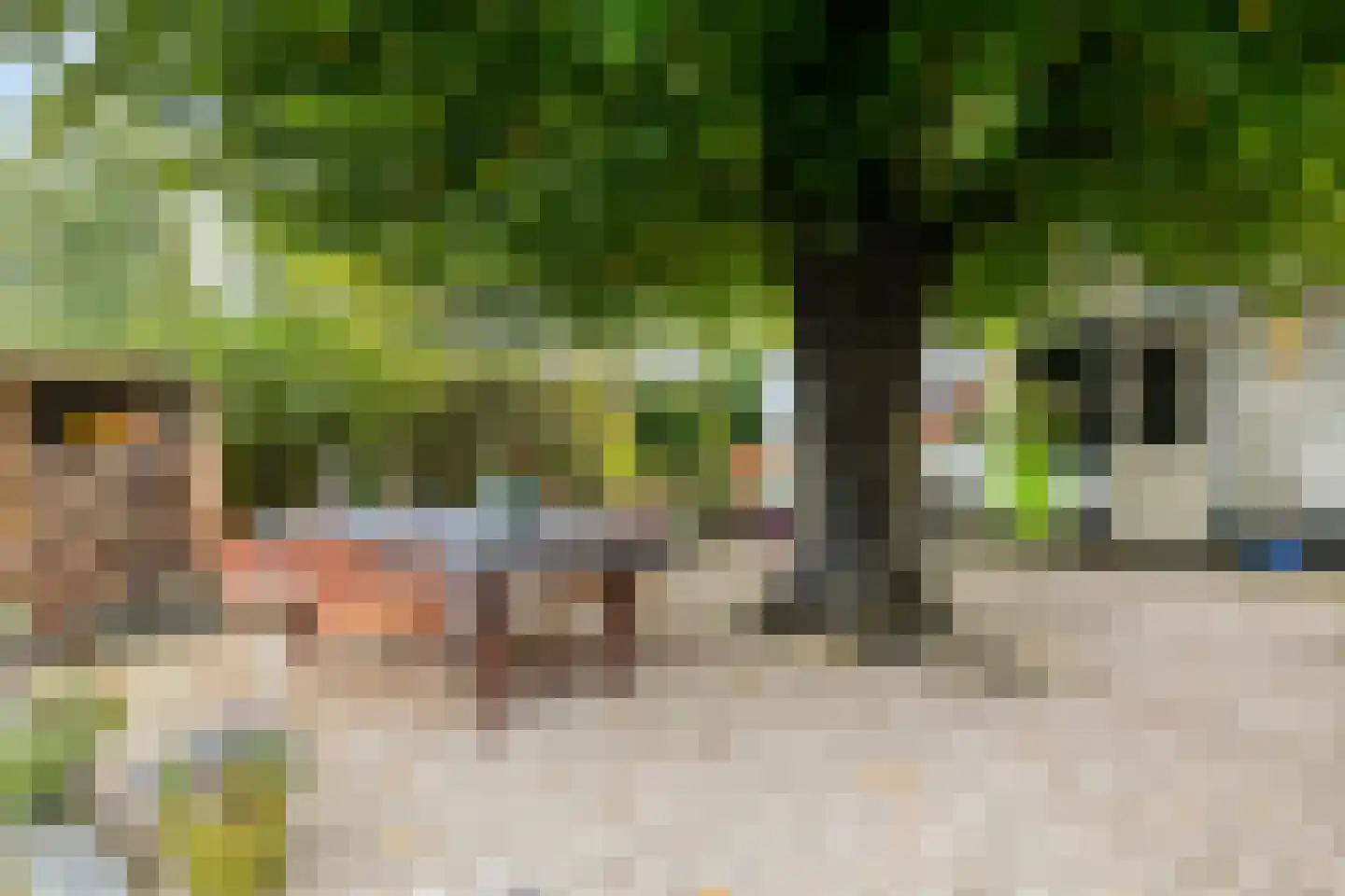 Mendelssohnstraat 22 Drunen thumbnail 28