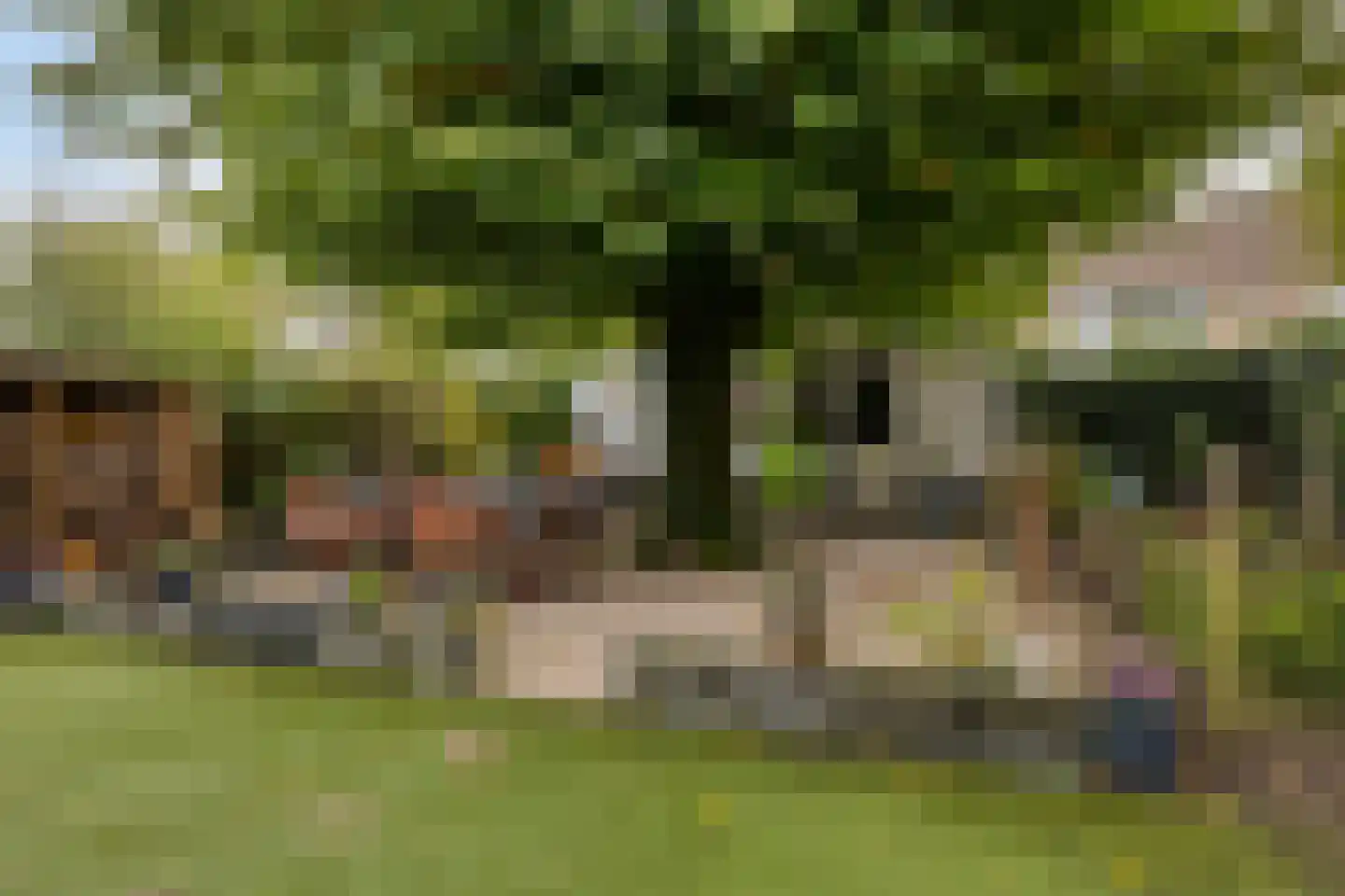Mendelssohnstraat 22 Drunen thumbnail 29