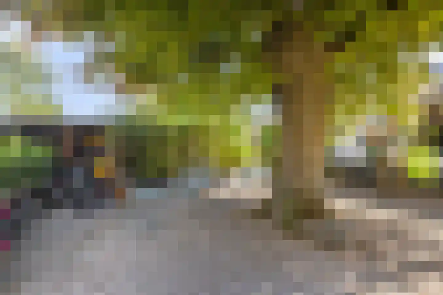 Mendelssohnstraat 22 Drunen thumbnail 30