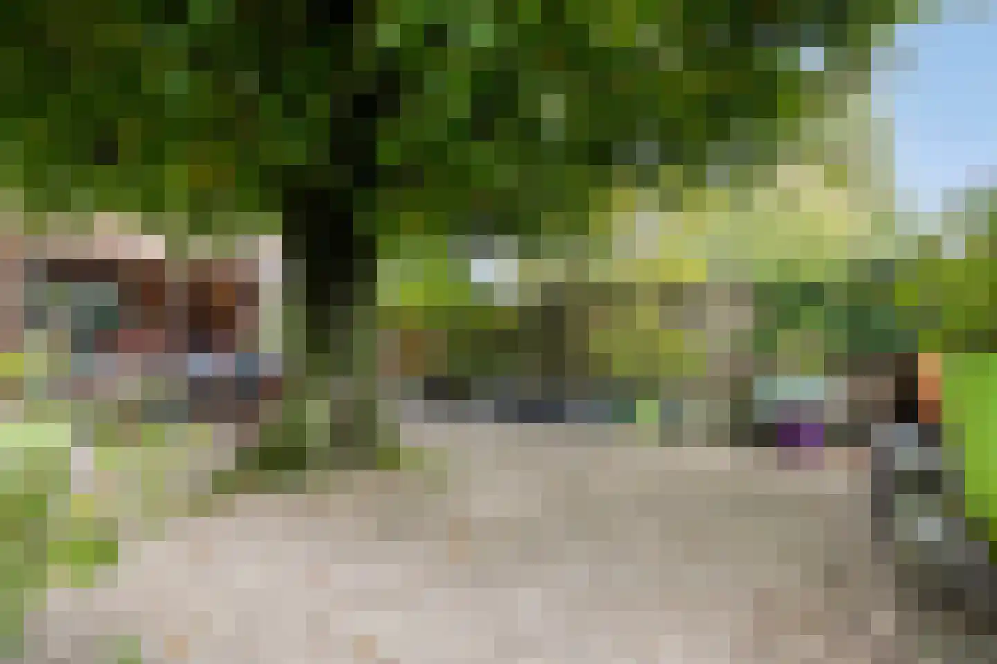 Mendelssohnstraat 22 Drunen thumbnail 32