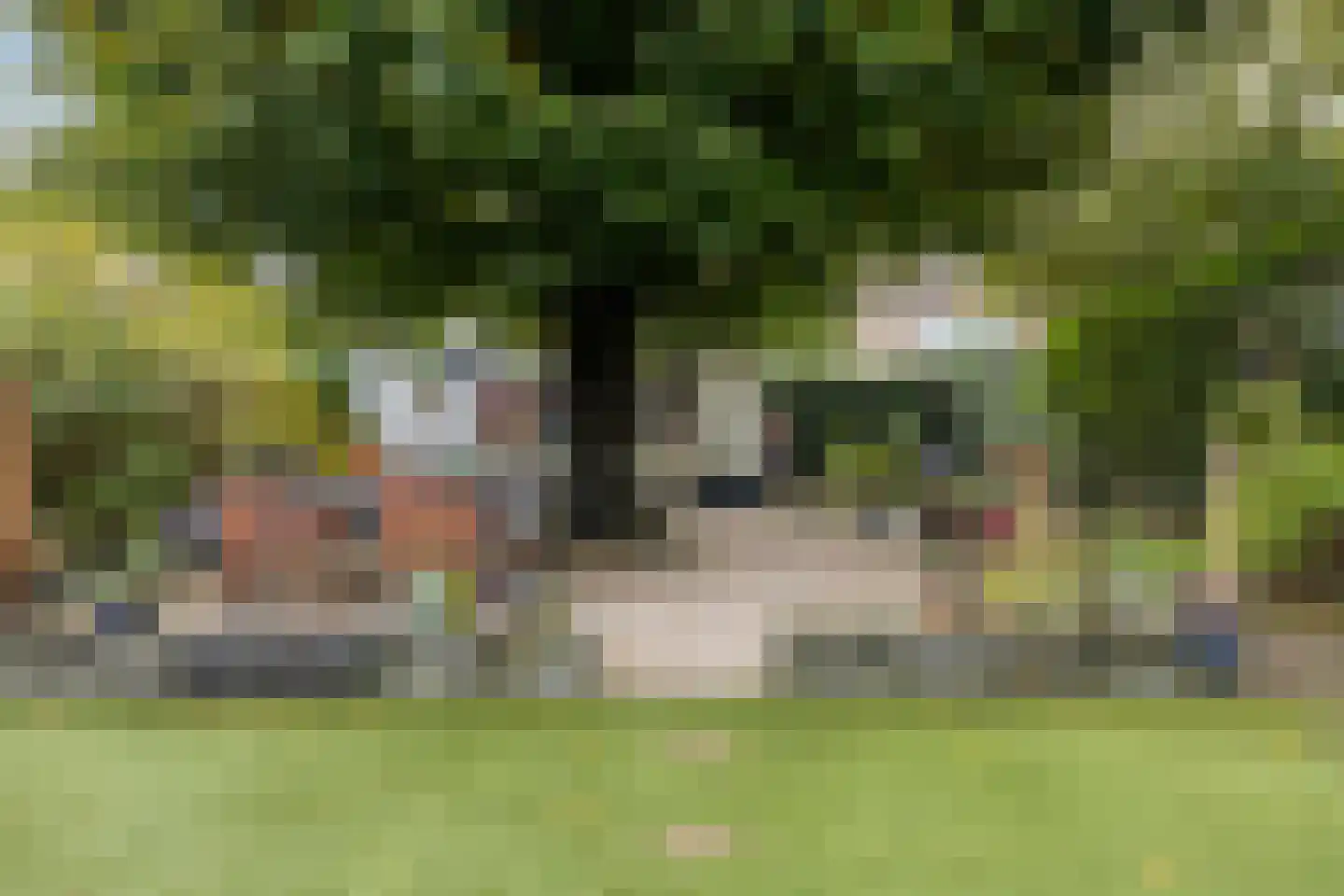 Mendelssohnstraat 22 Drunen thumbnail 34