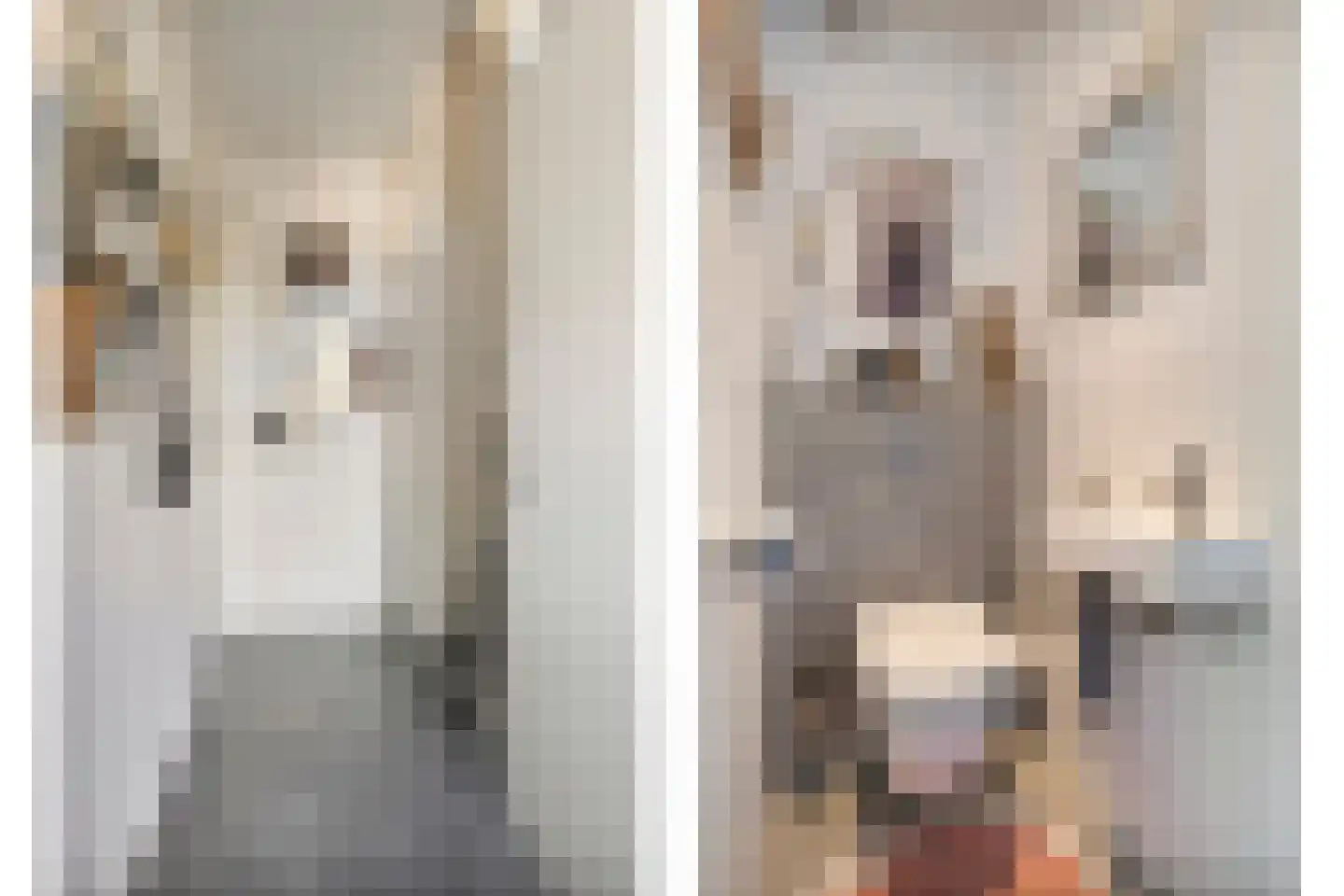 Mendelssohnstraat 22 Drunen thumbnail 6