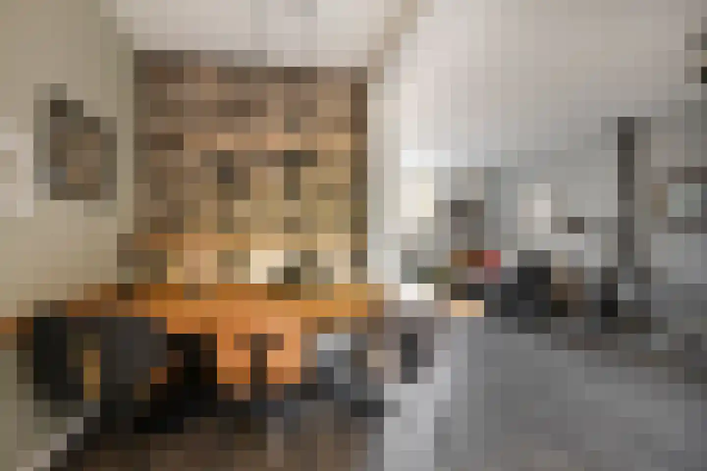 Mendelssohnstraat 22 Drunen thumbnail 8