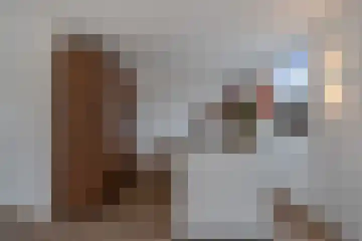 Mendelssohnstraat 23 Akersloot thumbnail 13