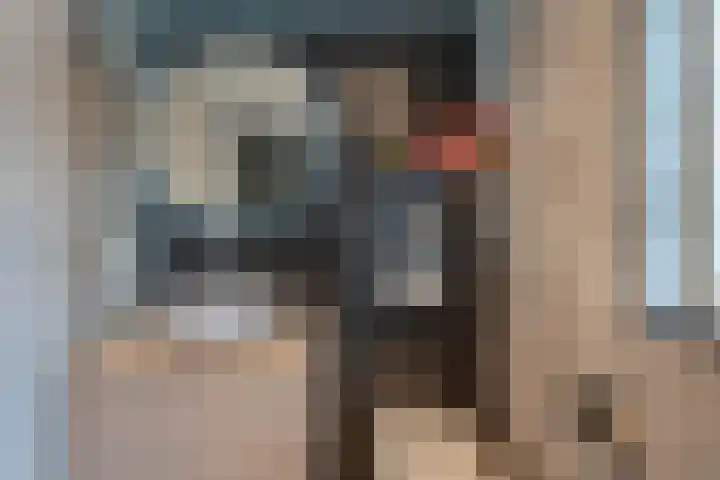 Mendelssohnstraat 23 Akersloot thumbnail 30