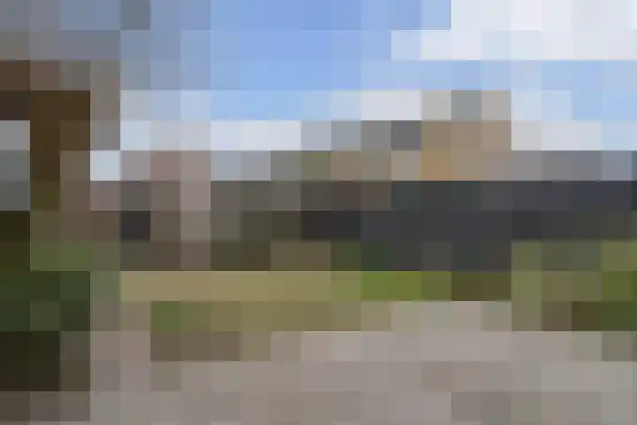 Mendelssohnstraat 23 Akersloot thumbnail 39