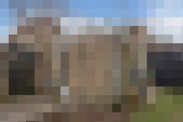 Mendelssohnstraat 23 Akersloot thumbnail 44
