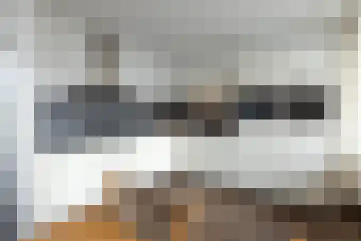 Mendelssohnstraat 23 Hengelo thumbnail 8