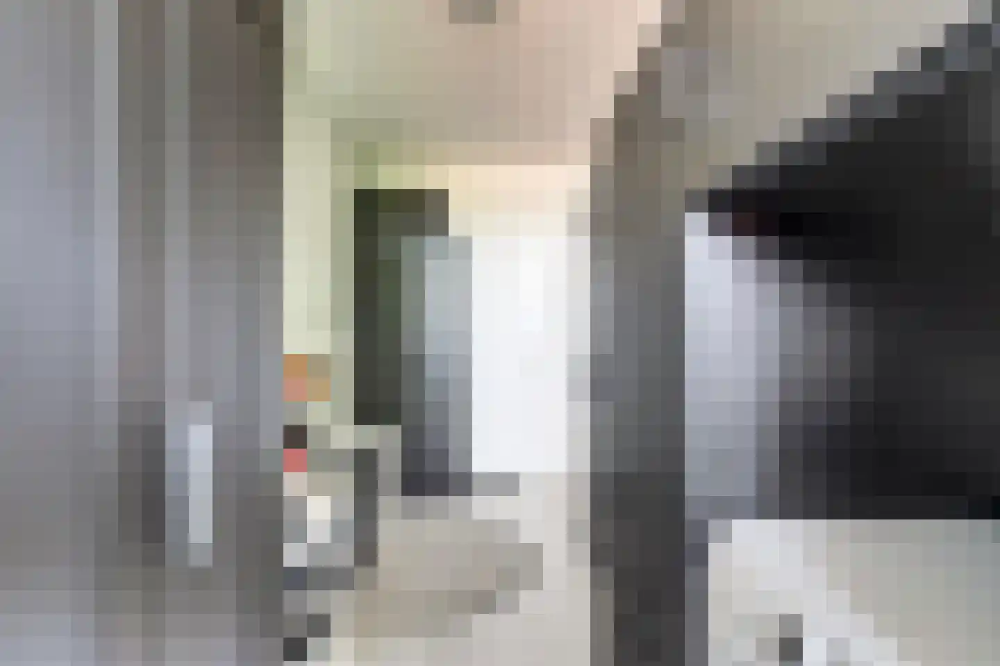 Mendelssohnstraat 26 Hengelo thumbnail 21