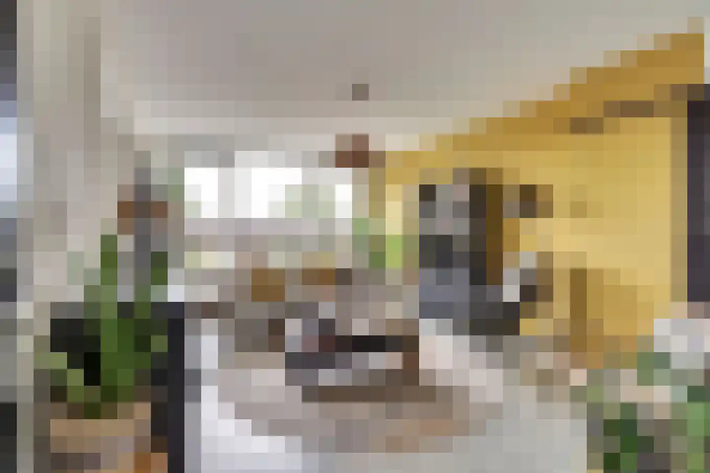 Mendelssohnstraat 26 Hengelo thumbnail 7
