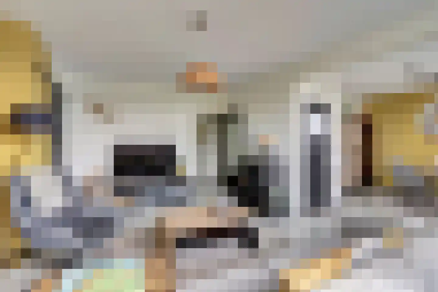 Mendelssohnstraat 26 Hengelo thumbnail 8