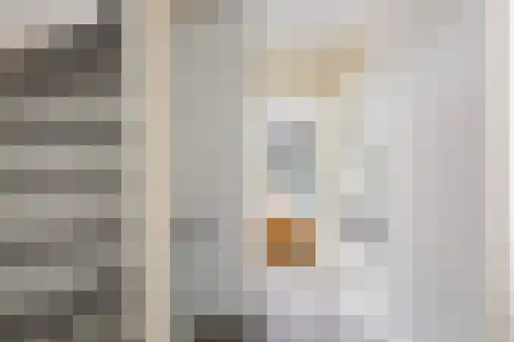 Mendelssohnstraat 27 Numansdorp thumbnail 16