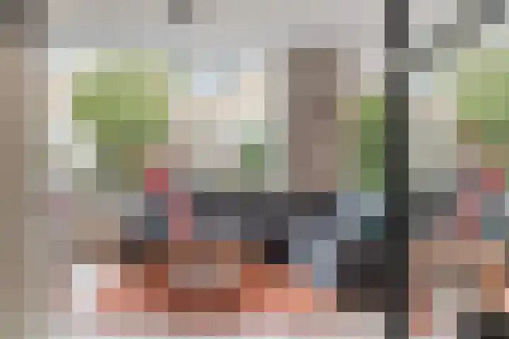 Mendelssohnstraat 27 Numansdorp thumbnail 6