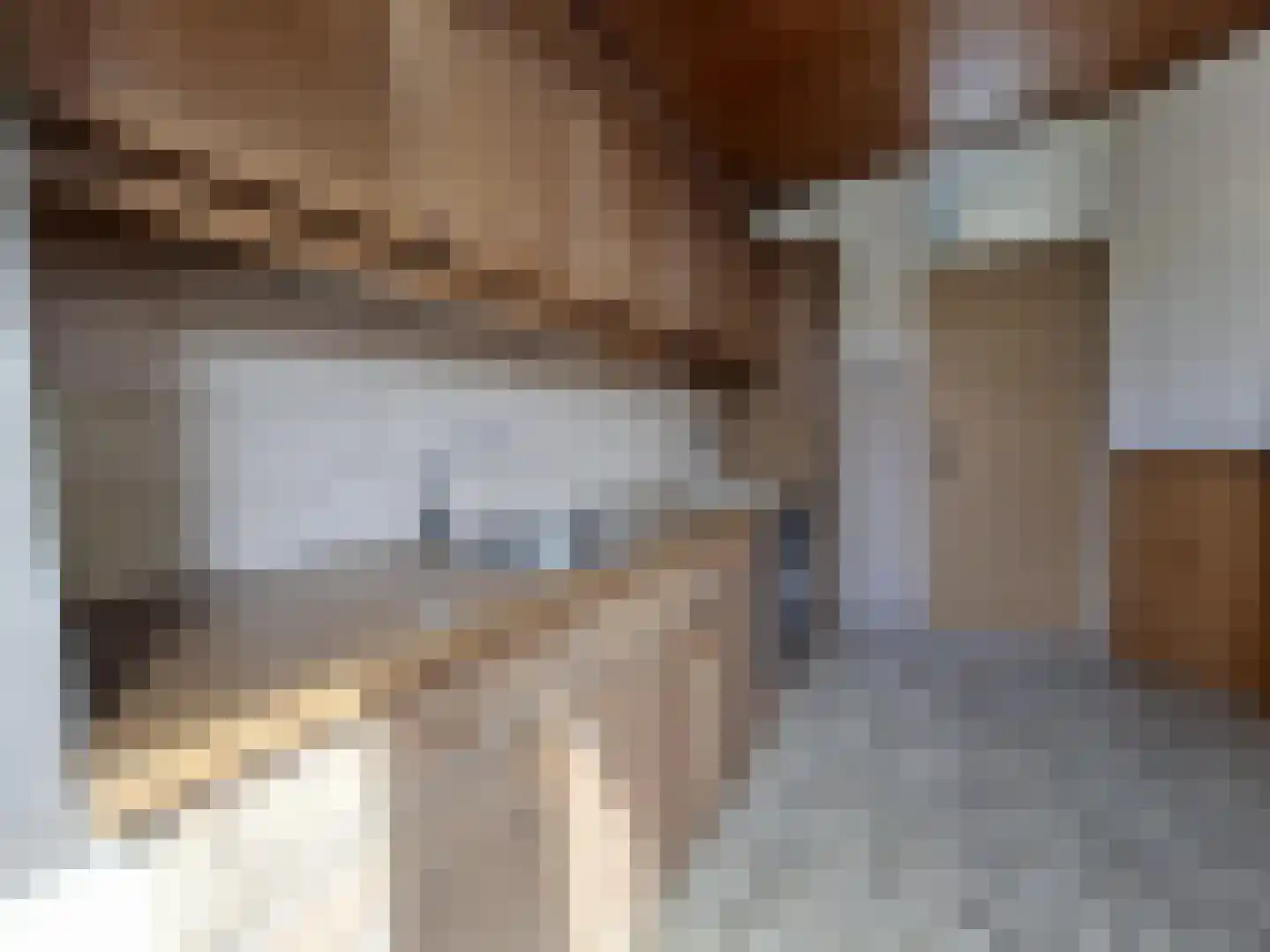 Mendelssohnstraat 3 Nieuwerkerk aan den IJssel thumbnail 8